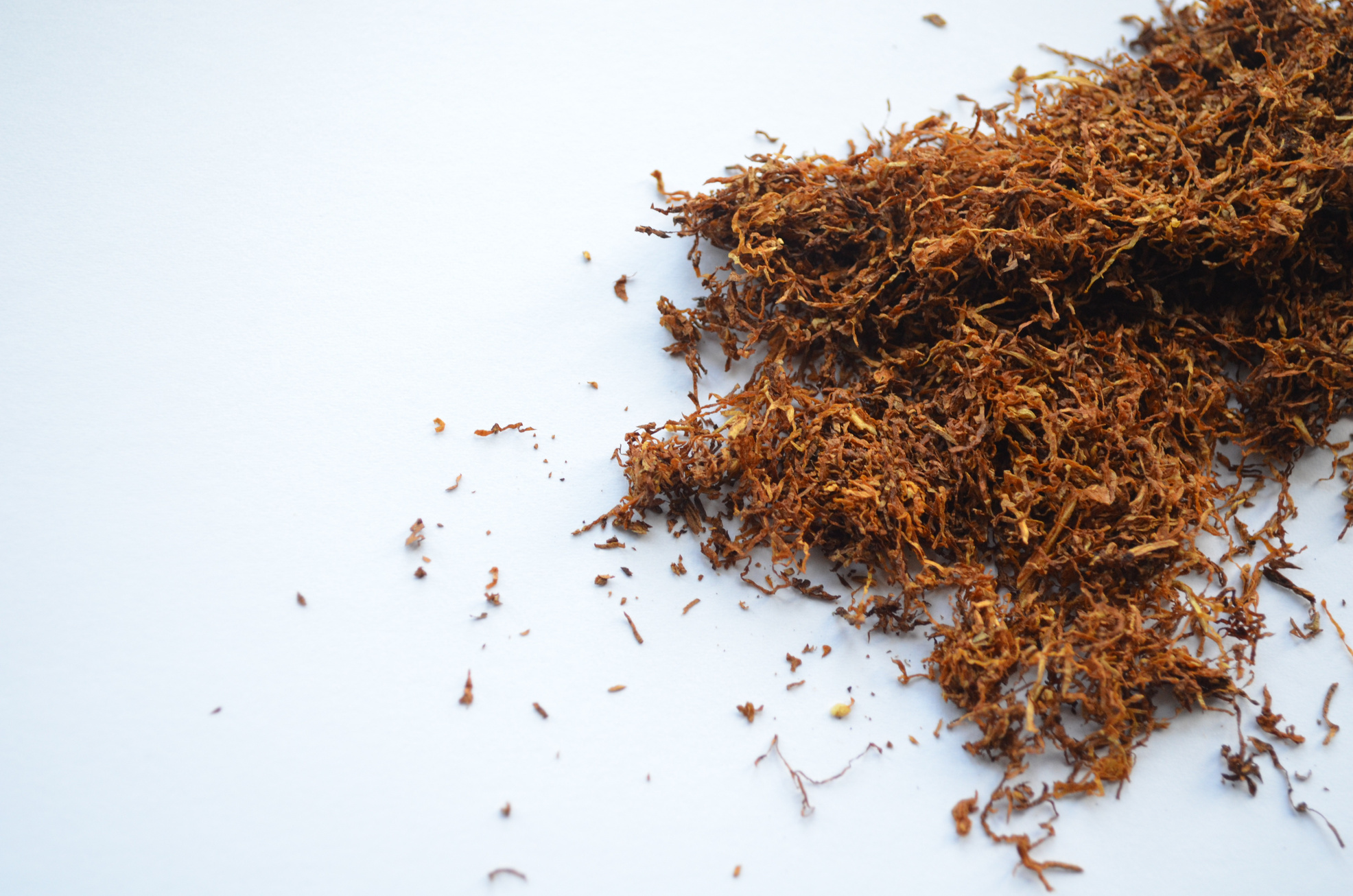 Tobacco on White Background